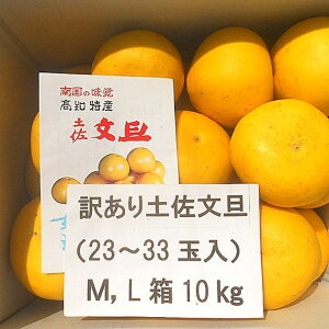 フルーツ 土佐文旦 10kg」の人気商品一覧・価格比較 - 価格.com