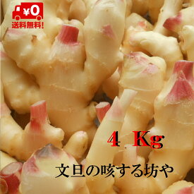 【送料無料】　掘りたて発送　産地直送サイズ S〜L　高知産ハウス新生姜4Kgエコ段ボールにて発送です。ただし北海道沖縄は送料1000円（100サイズまで）ご負担お願いします。7日営業日以内に発送いたします。