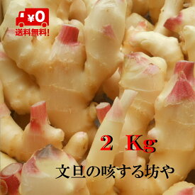 【送料無料】掘りたて発送　産地直送　高知産ハウス新生姜2Kg サイズS〜L　ただし北海道沖縄は送料1000円（100サイズまで）のご負担お願いします。3月半ばごろより順次発送いたします。