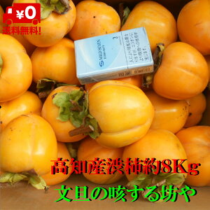 yzyɂwszmY@aa``ʁ@݂邵`@`7D5`8Kg@kC͑11300~21900~̂S肢܂B11{菇