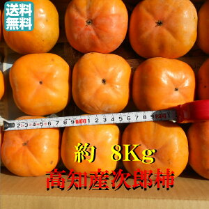 yzyɂwsz@mYY`@Ê`@8Kg@ƒpkC͑1000`1300~̂S肢܂B10{菇܂B