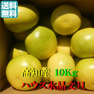 yzmY@@󂠂nEX U@10Kg@12`30ʑO@ʐC@nEXU@@ƒp@kC͑11500~21900~̂S肢܂B