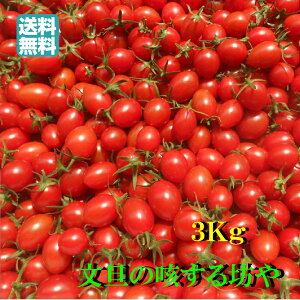 yzyɂwszmY~jg}g@@3Kg@kC͑1000~i100TCY܂ŁĵS肢܂B