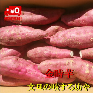yzmAYAAyg@5KgTCYS`LkC͑800~i100TCY܂ŁĵS肢܂B