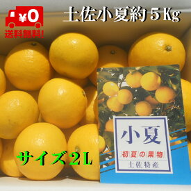 【送料無料】高知産　小夏2 L箱、3L箱　約5．0kg 　家庭用　 小夏　日向夏　ニューサマーオレンジ　ただし北海道沖縄は1000円（100サイズまで）のご負担お願いします。