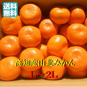 【送料無料】【日にち指定不可】高知産山北みかん (少しグリーン)サイズお任せ L又は2Lサイズ 約5kg みかん ご家庭用  只今品種極早生みかんです。 ただし北海道沖縄送料1箱1300