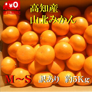 【送料無料】【日にち指定不可】 高知産山北みかん(少しグリーン) M、S、サイズ ご家庭用 約5Kg みかん 只今品種極早生みかんです。 ただし北海道沖縄送料1箱1300円、2箱1500円の