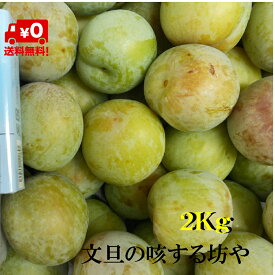 楽天市場 ソルダム プラム フルーツ 果物 食品の通販