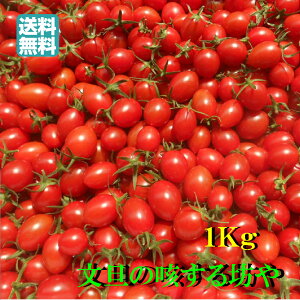 ミニトマト 1kgの人気商品 通販 価格比較 価格 Com