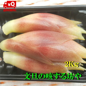 yzYn@mYnEX݂傤@2kg@kĆA1300~i100TCY܂ŁĵS肢܂B