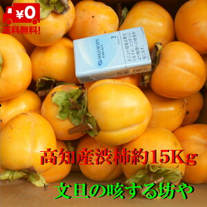 yzyɂwszmY 15Kg@`ʁ@aa`@@`p炵`@kCꑗ1900~̂S肢܂B11{菇܂B