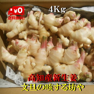 yzmYInVI@4Kg@ƒp I@Yn@ kC͑1300~̂S肢܂B9{׎揇܂B낵肢