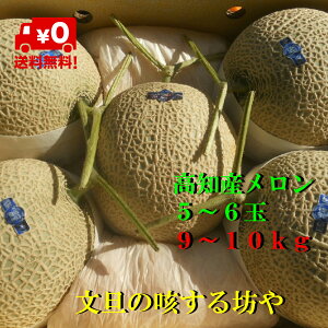 yzyɂwsz荂mYnEX͔|}XN8C5Kg`10Kg@kC͑1500~i100TCY܂ŁĵS肢܂B́A׎揇܂