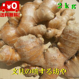 【送料無料】高知産洗い囲い生姜　大生姜　約2kgただし北海道沖縄は送料1000円のご負担お願いします。