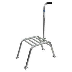 yoׁzVZC A~Xebv SH-30 ʎ Ip 肷t