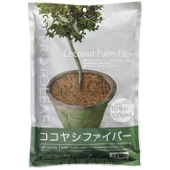 プロトリーフ ココヤシファイバー ナチュラル 100g