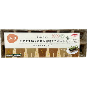 TJ^̃^l ̂܂ܐAAGR|bg WtB[Xgbv p^ 5cm 12A5