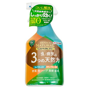 ZFw| xjJi` Xv[ 1000ml EEۍ ƒp