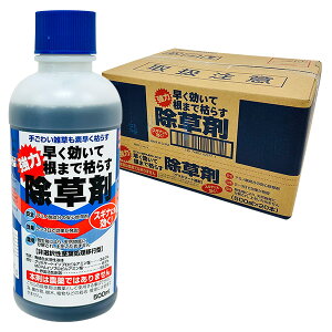 yoׁz_knp č܂Ō͂炷 500ml×20{ZbgyEzsz