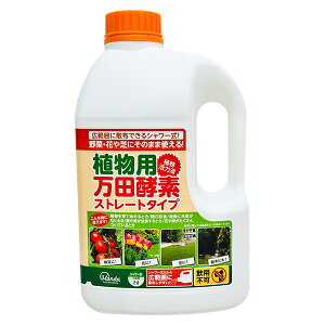 cyf Apcyf Xg[g^Cv V[ 2L