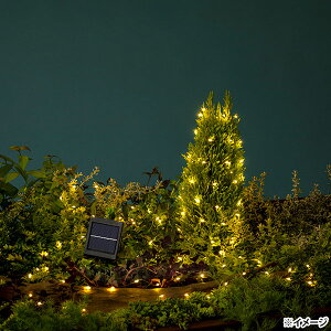 yoׁz^JV[ tFA[XgOXCg 120 VpS[h \[[C~l[V LSI-S120CG