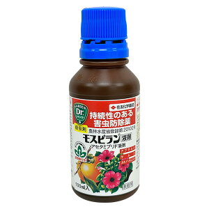 ZFw| Xst 100ml E