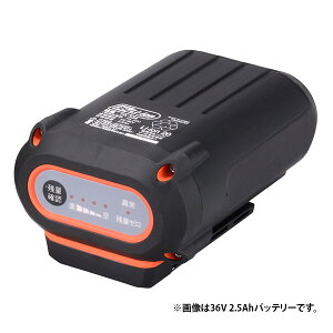 yoׁzHi KOSHIN obe[pbN 36V 5.0Ah PA-413 X}[gR[V