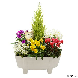 yzywszG߂̊񂹐A H ~ ^^  ԕc K[fsbNt t[sbNyEzsz