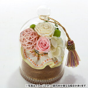 yzywszwelzo  vU[uht[ʋ ZbgykCEEzsz