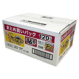 yoׁzACXI[} ۂۂƑ \郌M[ 120 ܂ƂߔpbN ߗނɓ\ ^Cv {