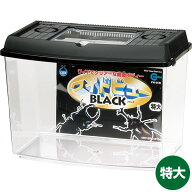 【即日出荷】マルカン プラケースワイドビュー ブラック 特大 PW-05BL 飼育ケース