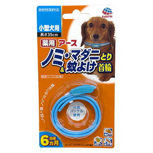 yoׁzA[XEybg pA[Xm~E}_jƂ聕悯 ^p