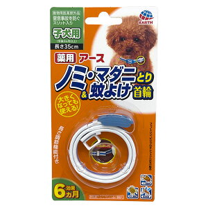 yoׁzA[XEybg pA[Xm~E}_jƂ聕悯 qp