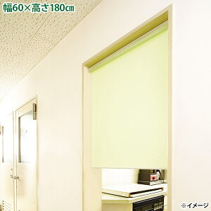 yzywsztlX X[XN[n ʃe[v^Cv L2187 O[ykCEEzsz