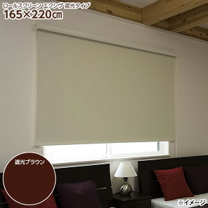 �y�����z�y�����w��s�z�t���l�X �J�o�[�t�����[���X�N���[�� �G�N�V�� L3536 165×220cm �Ռ��u���E���y�k�C���E����E�����z���s�z