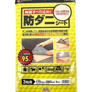 aOrA h_jV[g 3p 170cm×260cm 1 DCS-3 {