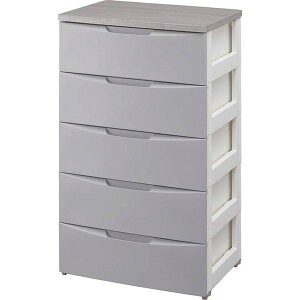 yzywszACXI[} fUCEbhgbv`FXg 56cm 5i O[ DW-555yEzsz