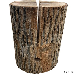 yoׁzXEF[fg[` XEFfBbVg[`  ۑ