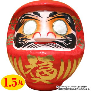 yzywszJ^E܁iԁj 15cm i1.5ہjyEzsz