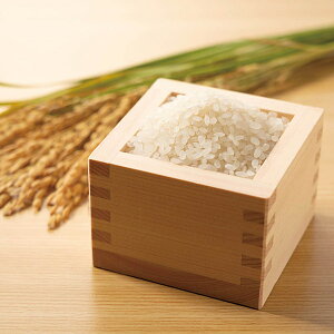 【直送・ギフト】山形県産米(はえぬき) B28-8(1040)【沖縄・離島配送不可】【同梱不可】