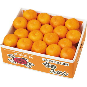 【直送・ギフト】【日時指定不可】和歌山県産 有田みかん G13-2B(756)【沖縄・離島配送不可】【同梱不可】