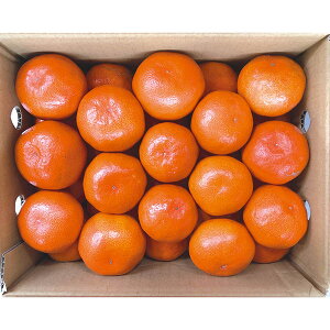 yEMtgzywsz쌧Y g݂ W13-9B(758)yEzszysz