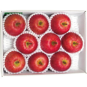 【直送・ギフト】【日時指定不可】青森県産 福ちゃんりんご B12-4(762)【沖縄・離島配送不可】【同梱不可】