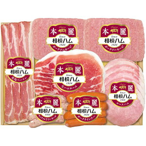 yEMtgz̓n {oGeBMtg SR-410(1114)yEzszysz