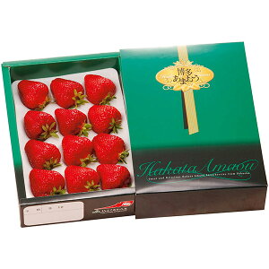 yEMtgzywszJAӂ ܂ R15-10(771)yEzszysz