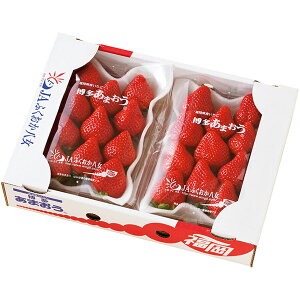 yEMtgzywszJAӂ ܂ R15-12(772)yEzszysz