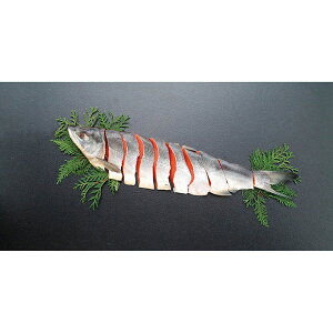 yEMtgzmY Vg P3-11T(600)yEzszysz