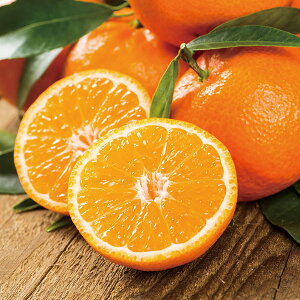 yEMtgzywsza̎RY Lc݂ Q13-3A(1092)yEzszysz