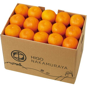 yEMtgzywszꌧY Â݂ A13-3(759)yEzszysz