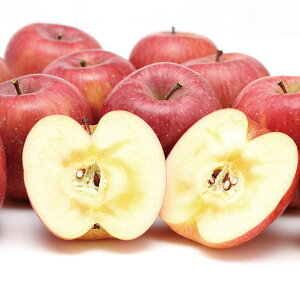 yEMtgzywszR_ R`Y Tӂ Y12-1A(1091)yEzszysz